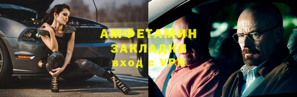 индика Алзамай