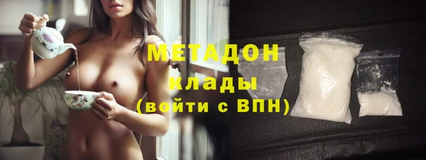 индика Алзамай