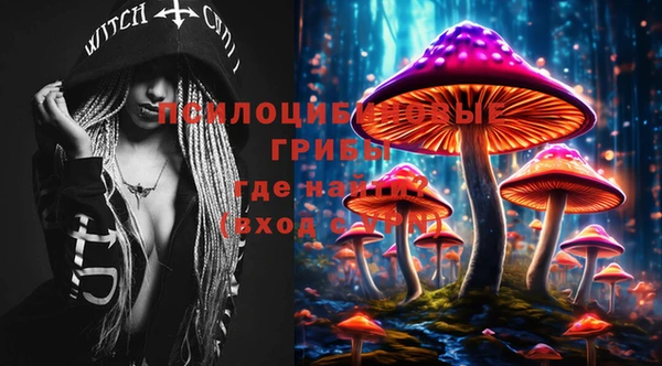 индика Алзамай