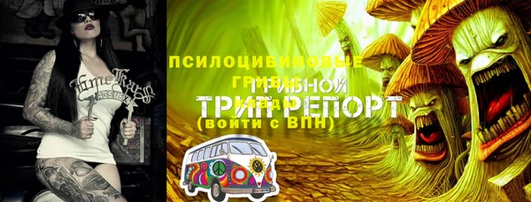 apvp Алексеевка