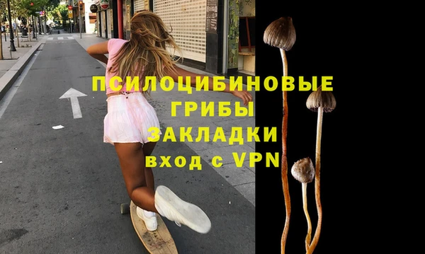 соль ск Новозыбков