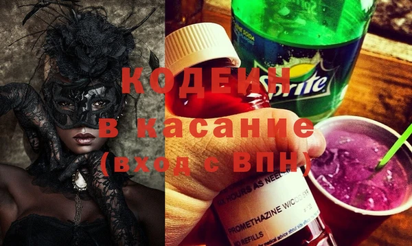 индика Алзамай