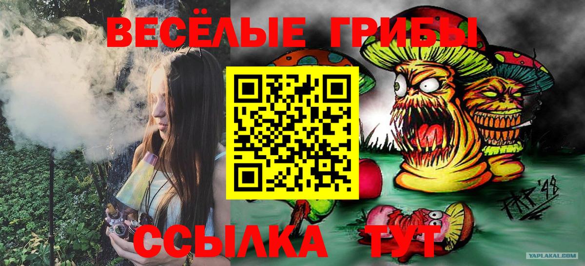 Галлюциногенные грибы Magic Shrooms  Псилоцибиновые грибы Psilocybine cubensis  Нарьян-Мар  купить наркотики сайты  Вход с VPN 